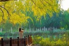德国国家队世界杯韩国-德国国家队与韩国在世界杯的交锋，传统与坚韧的碰撞