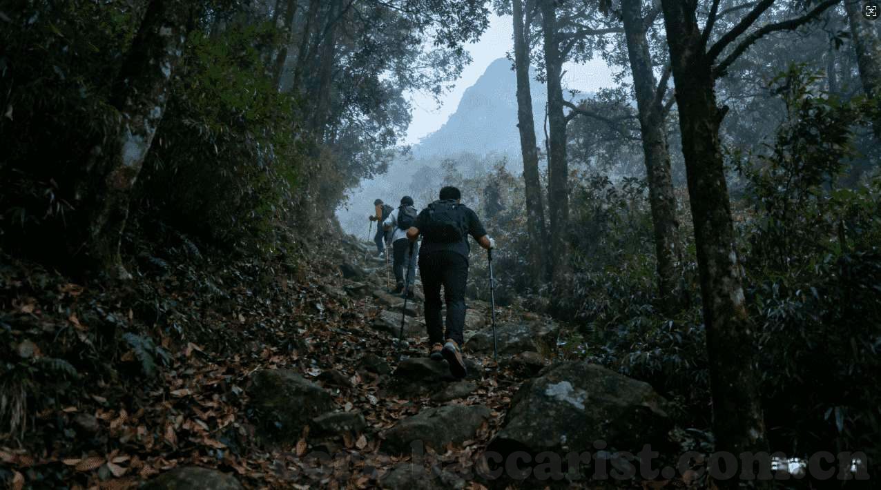 壹号娱乐下载-壹号娱乐，移动互联网时代的娱乐新选择-壹号娱乐下载